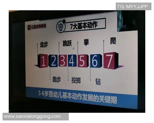 体育课程流程示意图的构建与实施策略探讨与分析